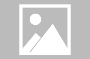 世界乒乓球联赛青训导师国际交流影像集第二版上线，国际乒乓球联合会成员